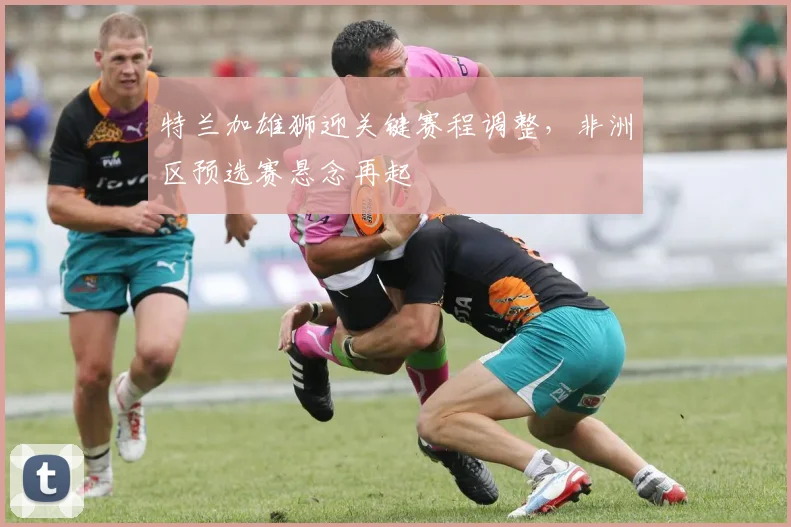 特兰加雄狮迎关键赛程调整，非洲区预选赛悬念再起