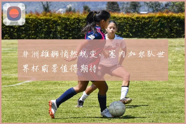 非洲雄狮悄然蜕变，塞内加尔队世界杯前景值得期待